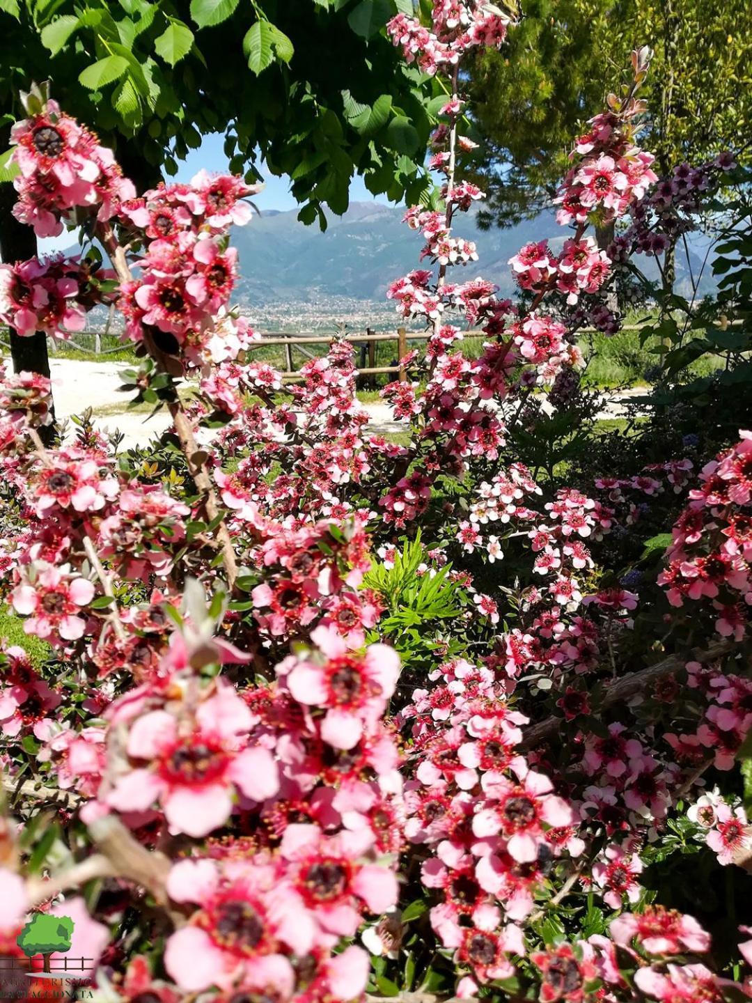 La Staccionata Arpino Exterior foto